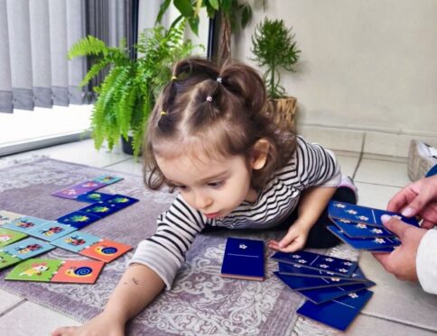 ΝΤΟΜΙΝΟ ΜΕ ΖΩΑΚΙΑ