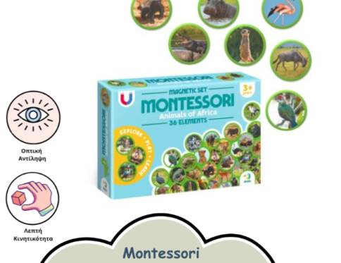 MONTESORRI ΜΑΓΝΗΤΑΚΙΑ ΖΩΑ ΤΗΣ ΑΦΡΙΚΗΣ