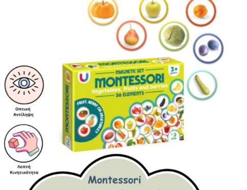 montessori φρουτα και λαχανικα μαγνητακια
